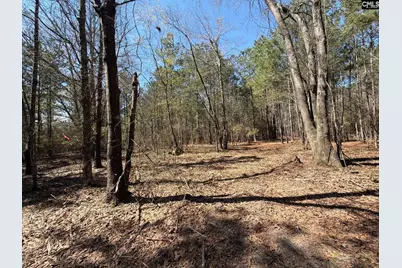 Bhl 11 Boise Cascade Road Bhl 11, Bethune, SC 29009 - Photo 14