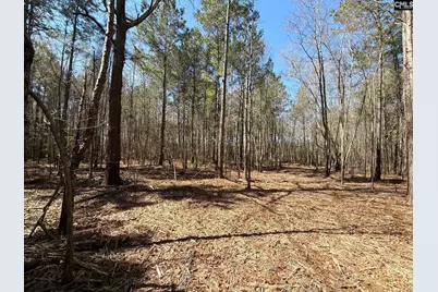 Bhl 11 Boise Cascade Road Bhl 11, Bethune, SC 29009 - Photo 8