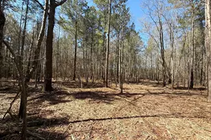 Bhl 11 Boise Cascade Road Bhl 11, Bethune, SC 29009 - Photo 8