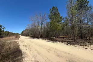 Bhl 11 Boise Cascade Road Bhl 11, Bethune, SC 29009 - Photo 1