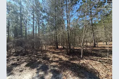 Bhl 11 Boise Cascade Road Bhl 11, Bethune, SC 29009 - Photo 18