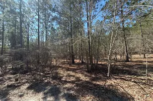 Bhl 11 Boise Cascade Road Bhl 11, Bethune, SC 29009 - Photo 18