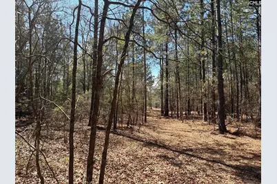 Bhl 11 Boise Cascade Road Bhl 11, Bethune, SC 29009 - Photo 12