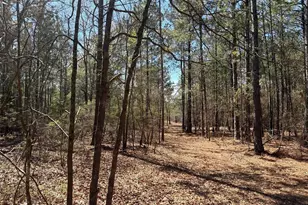 Bhl 11 Boise Cascade Road Bhl 11, Bethune, SC 29009 - Photo 12