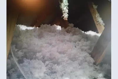 216 Ruby Prince Way, Lexington, SC 29073 - Photo 32