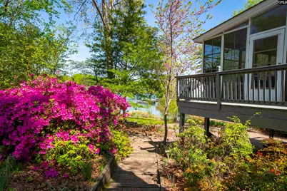 224 Limestone Road, Chapin, SC 29036 - Photo 70