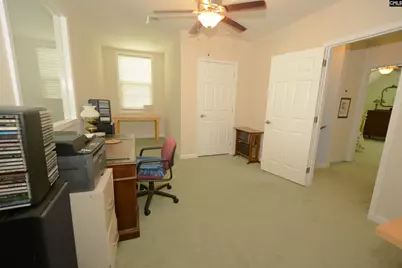 224 Limestone Road, Chapin, SC 29036 - Photo 44
