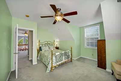 224 Limestone Road, Chapin, SC 29036 - Photo 48