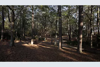 237 Bone Road, Gilbert, SC 29054 - Photo 24