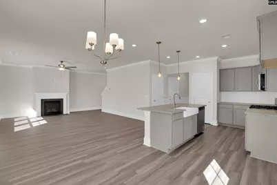 618 Griffon Drive, Chapin, SC 29036 - Photo 10
