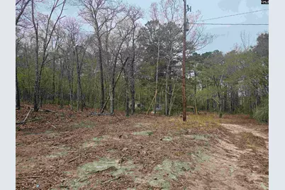 149 Grimes Road, Hopkins, SC 29061 - Photo 8