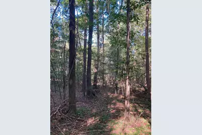 0 Church, Prosperity, SC 29127 - Photo 2