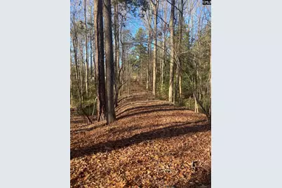 0 Church, Prosperity, SC 29127 - Photo 4