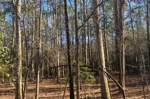 0 Church, Prosperity, SC 29127 - Photo 1