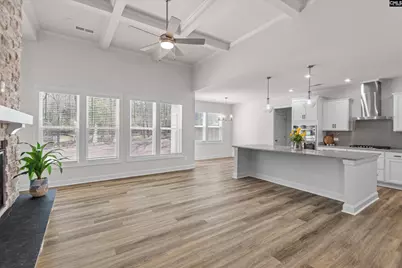 558 Wild Ginger Loop, Irmo, SC 29063 - Photo 8