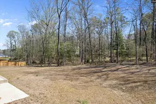 558 Wild Ginger Loop, Irmo, SC 29063 - Photo 42