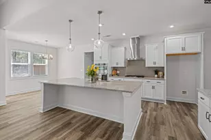 558 Wild Ginger Loop, Irmo, SC 29063 - Photo 2