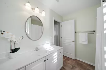 112 Rum Gully Lane, Chapin, SC 29036 - Photo 6