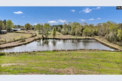 421 &amp; 0 Shore Road, Gilbert, SC 29054 - Photo 12