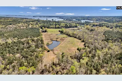 421 &amp; 0 Shore Road, Gilbert, SC 29054 - Photo 4