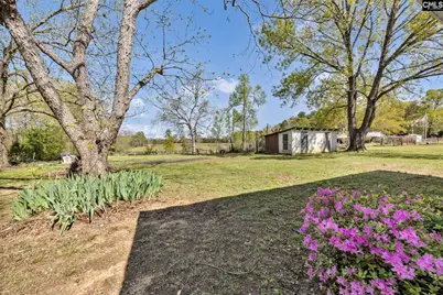 421 &amp; 0 Shore Road, Gilbert, SC 29054 - Photo 50