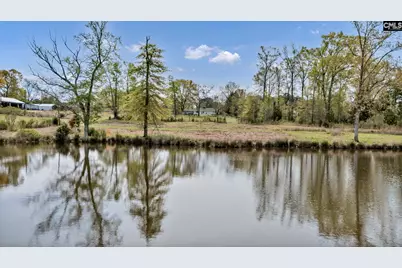 421 &amp; 0 Shore Road, Gilbert, SC 29054 - Photo 14