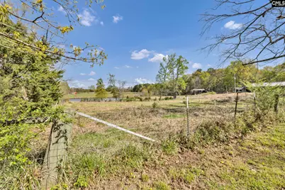 421 &amp; 0 Shore Road, Gilbert, SC 29054 - Photo 6