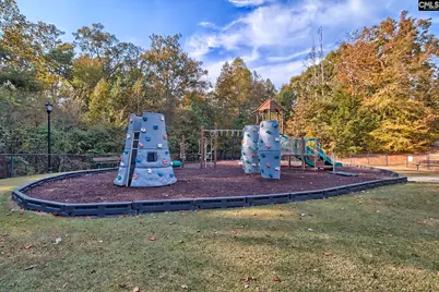 115 Land Stone Circle, Irmo, SC 29063 - Photo 66