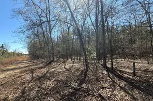 Bhl 12 Boise Cascade Road Bhl 12, Bethune, SC 29009 - Photo 1