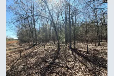 Bhl 12 Boise Cascade Road Bhl 12, Bethune, SC 29009 - Photo 2