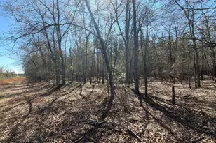 Bhl 12 Boise Cascade Road Bhl 12, Bethune, SC 29009 - Photo 2