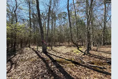 Bhl 12 Boise Cascade Road Bhl 12, Bethune, SC 29009 - Photo 6