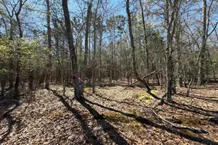 Bhl 12 Boise Cascade Road Bhl 12, Bethune, SC 29009 - Photo 6