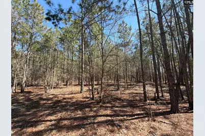 Bhl 12 Boise Cascade Road Bhl 12, Bethune, SC 29009 - Photo 18