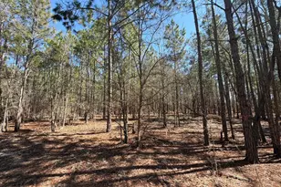 Bhl 12 Boise Cascade Road Bhl 12, Bethune, SC 29009 - Photo 18