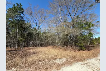 Bhl 12 Boise Cascade Road Bhl 12, Bethune, SC 29009 - Photo 12