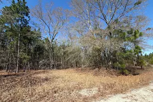 Bhl 12 Boise Cascade Road Bhl 12, Bethune, SC 29009 - Photo 12