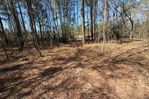 Bhl 12 Boise Cascade Road Bhl 12, Bethune, SC 29009 - Photo 20