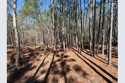 Bhl 12 Boise Cascade Road Bhl 12, Bethune, SC 29009 - Photo 16