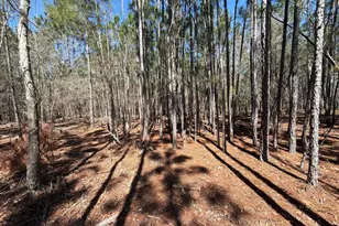 Bhl 12 Boise Cascade Road Bhl 12, Bethune, SC 29009 - Photo 16