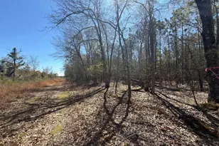 Bhl 12 Boise Cascade Road Bhl 12, Bethune, SC 29009 - Photo 4