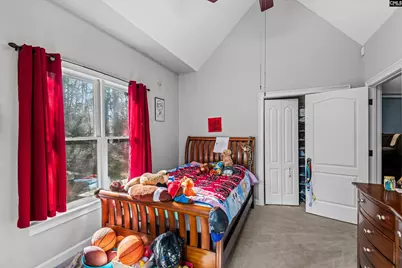 18 Saddleback Ledge Court, Irmo, SC 29063 - Photo 24