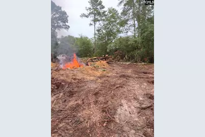 Tbd Pennington Drive #Lot 1, Gaston, SC 29053 - Photo 2