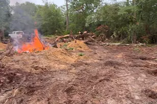 Tbd Pennington Dr, Gaston, SC 29053 - Photo 2