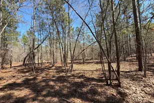 Bhl 13 Boise Cascade Road Bhl 13, Bethune, SC 29009 - Photo 14