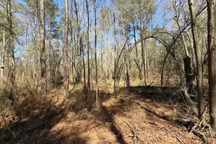 Bhl 13 Boise Cascade Road Bhl 13, Bethune, SC 29009 - Photo 22