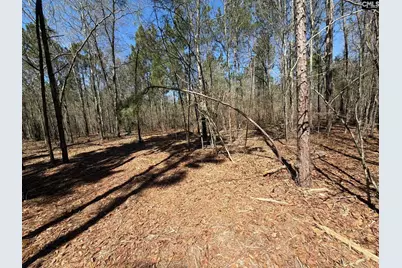 Bhl 13 Boise Cascade Road Bhl 13, Bethune, SC 29009 - Photo 2