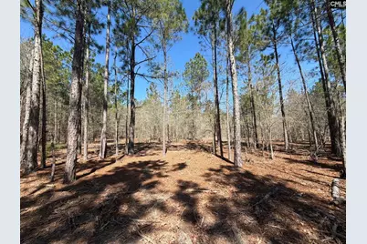 Bhl 13 Boise Cascade Road Bhl 13, Bethune, SC 29009 - Photo 10