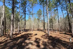 Bhl 13 Boise Cascade Road Bhl 13, Bethune, SC 29009 - Photo 10