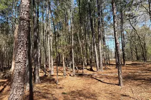 Bhl 13 Boise Cascade Road Bhl 13, Bethune, SC 29009 - Photo 16